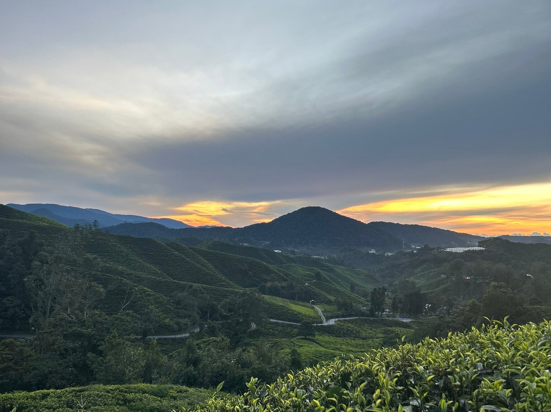 Discover Camerons-丹那拉塔必去景点