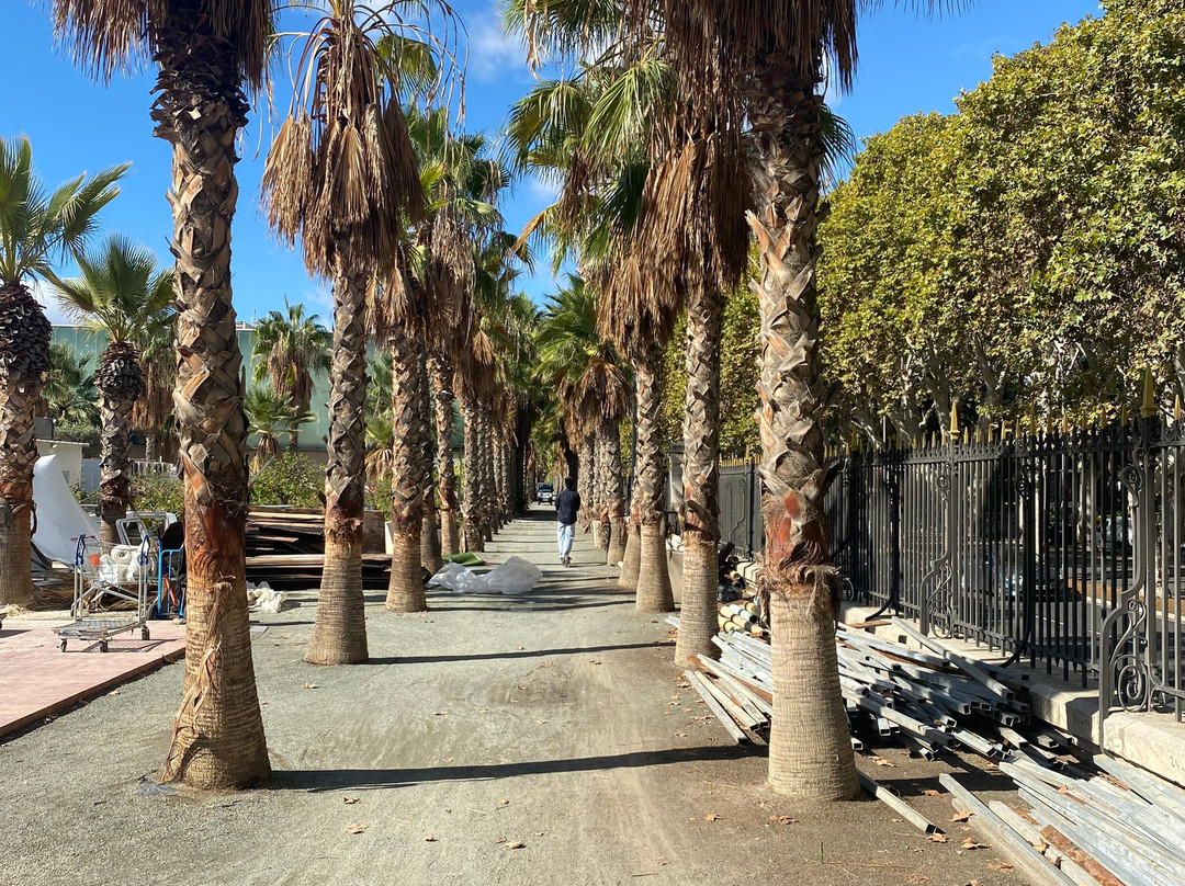 Palmeral de las Sorpresas-马拉加必去景点