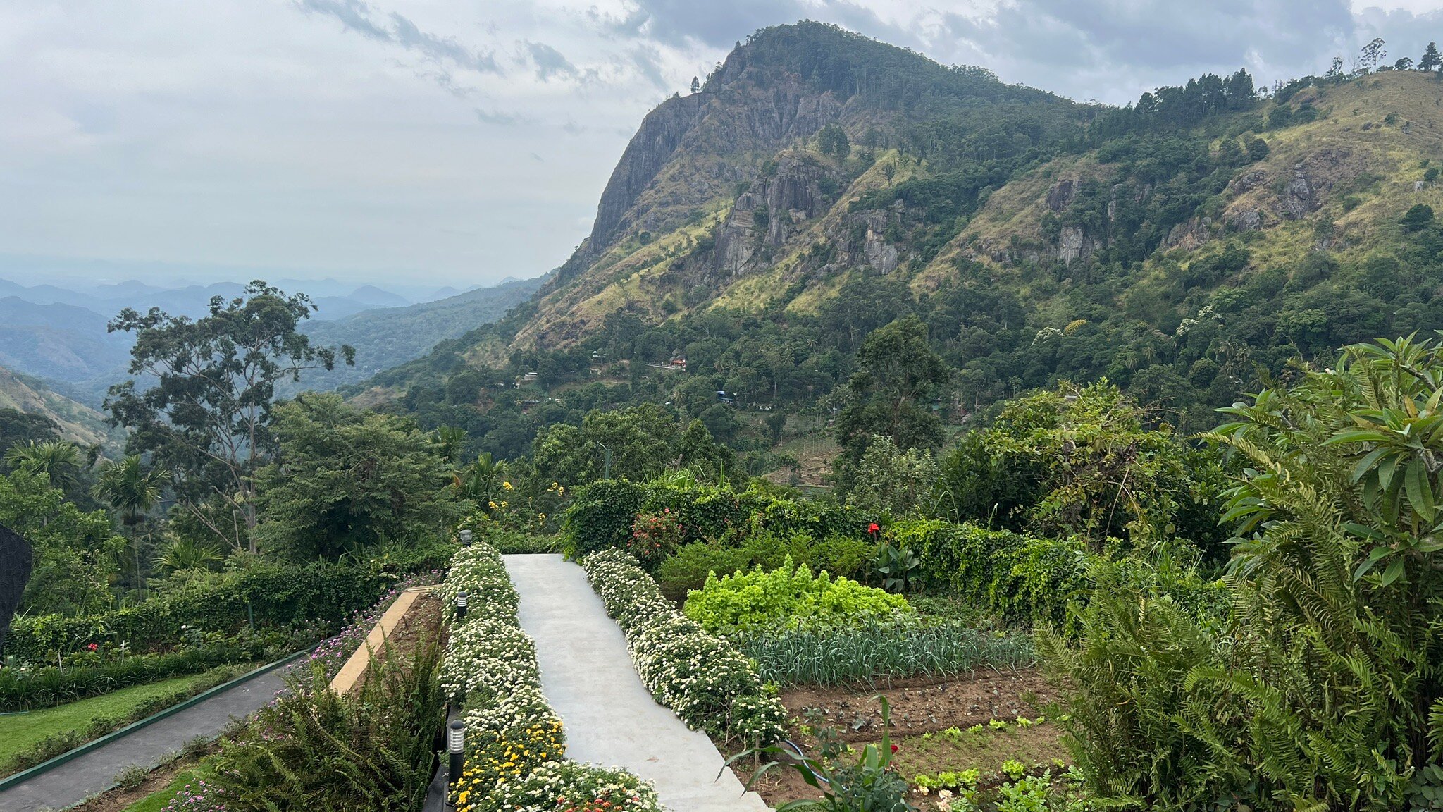 EKHO Ella-官方