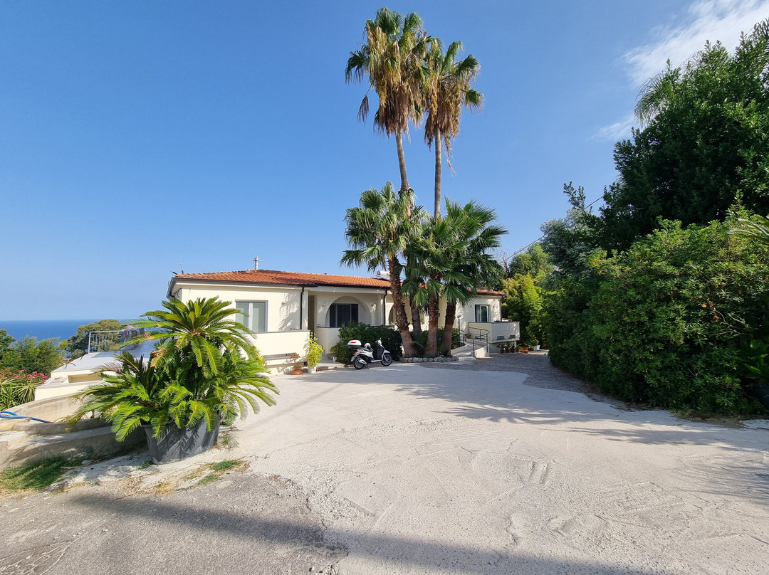 Villa Mimosa Florital