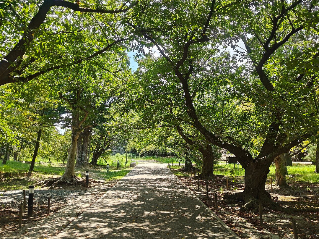 舞鹤公园-Chuo必去景点
