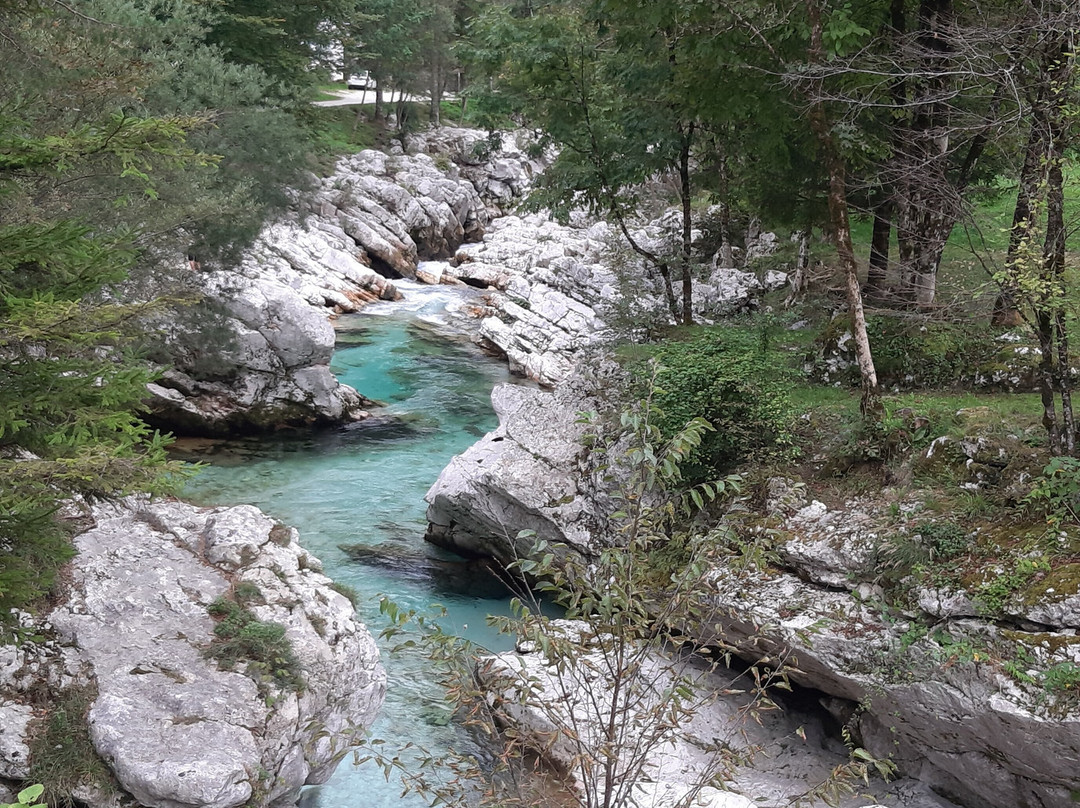 Maya Bled Transfers-布莱德必去景点