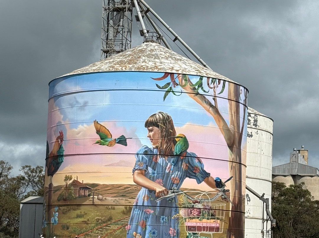 Fun Over Fifty-布里斯班必去景点