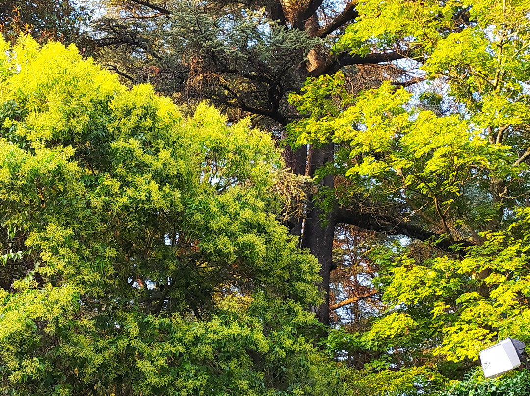 Auberge Cocagne主图