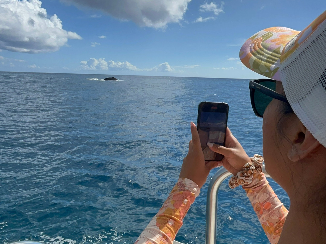 Dive and Sea Tahiti - Base nautique de Puna'auia-普纳奥亚必去景点