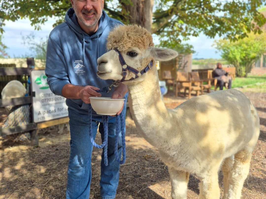 Hilly Ridge Alpacas-Wattisham必去景点
