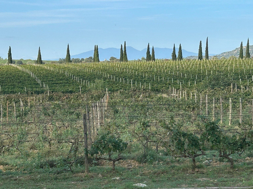 La Vinyeta-Mollet de Peralada必去景点