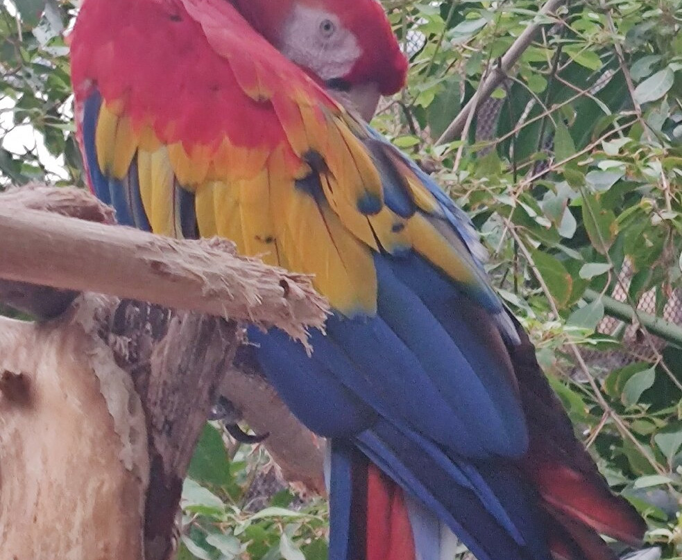 Tulsa Zoo-塔尔萨必去景点