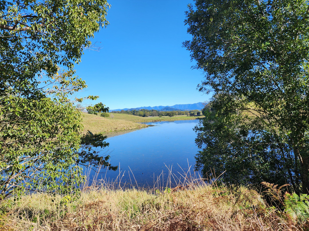 Northern Rivers Cycles And Bike Hire-Mooball必去景点