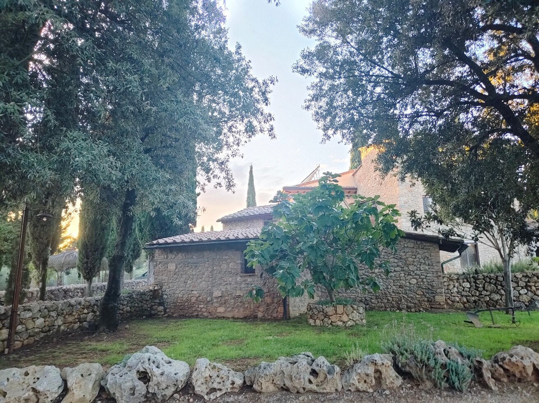 La Tenuta di Castelvecchio主图