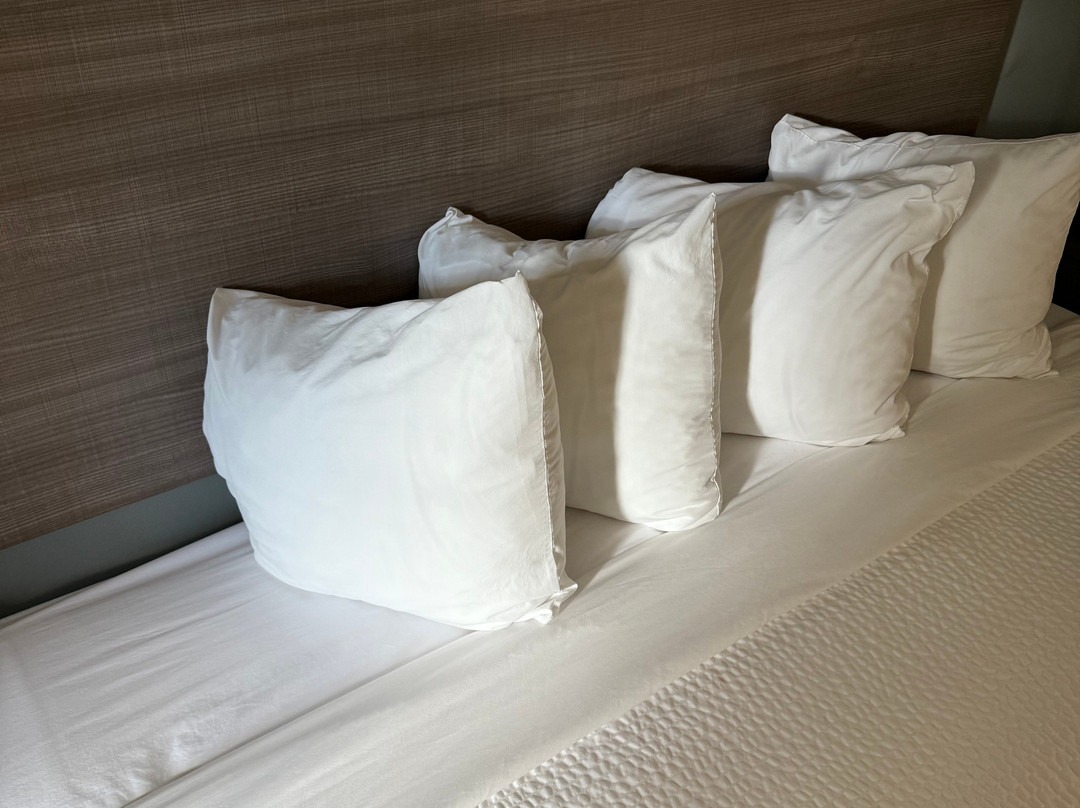 Baymont by Wyndham Eden主图