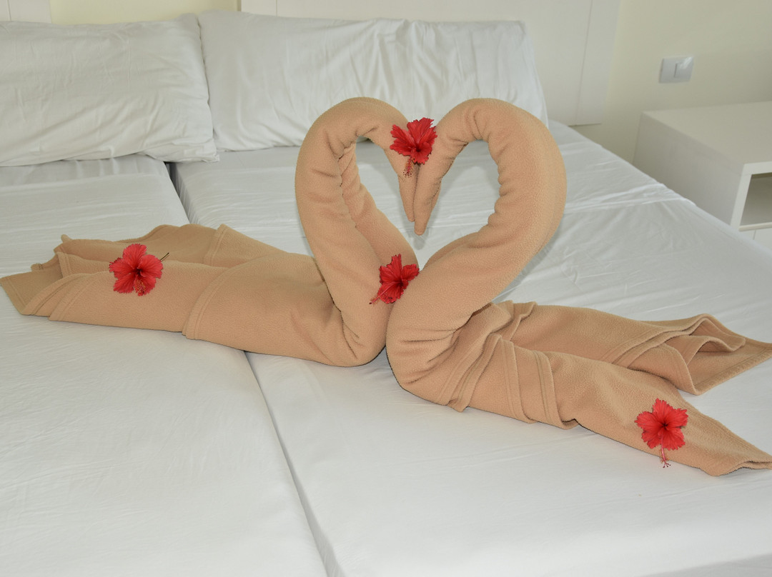 Hotel Playa Coco主图