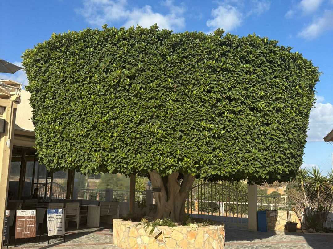 Lofos Apartments主图