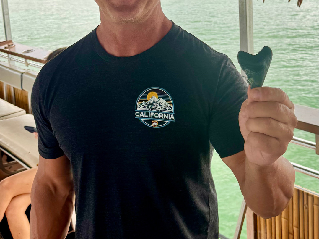 Keys Huka Dive-Nokomis必去景点