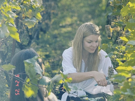 Amisulashvili Wine Cellar-Kolagi必去景点