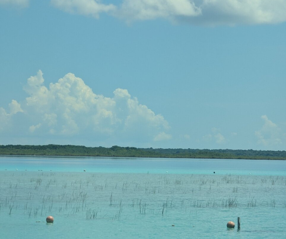 Cenote Cocalitos-Bacalar必去景点