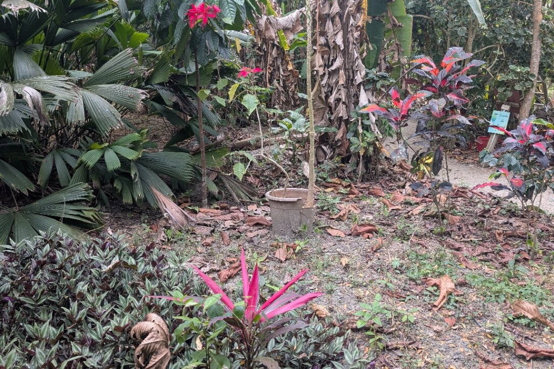 Rio Muchacho Organic Farm-Canoa必去景点