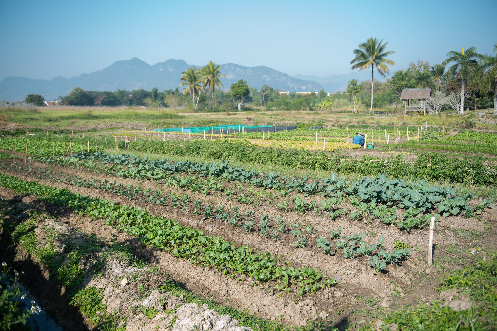 桑迪度假酒店及水疗中心-浴室