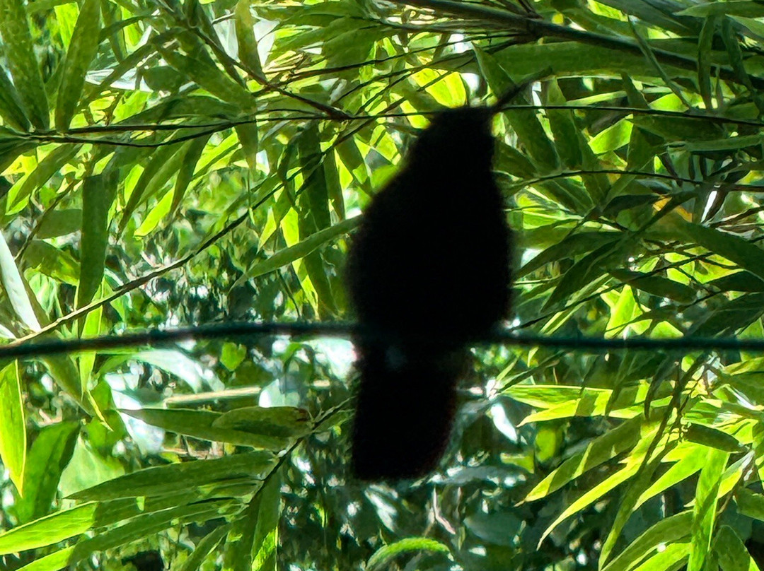 罗克兰兹鸟类保护区-Wiltshire必去景点