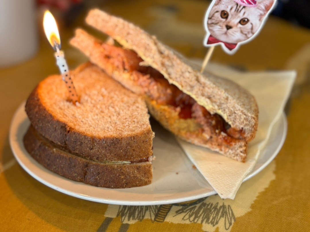 Alpaca Trekking Cornwall-康沃尔必去景点