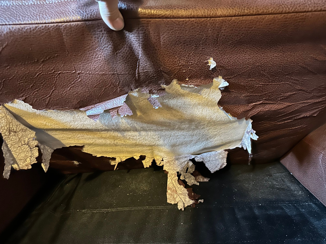 Hotel-Motel Drummond主图