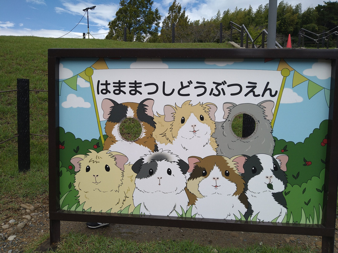 Hamamatsu Zoo logical Garden-滨松市必去景点