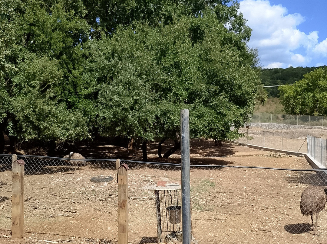 Agróktima Papákia-Karitena必去景点