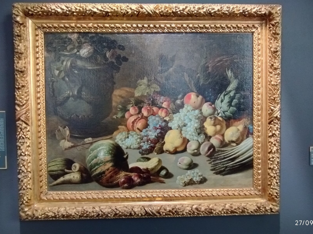 Musee des Beaux-Arts de Dole-多勒必去景点