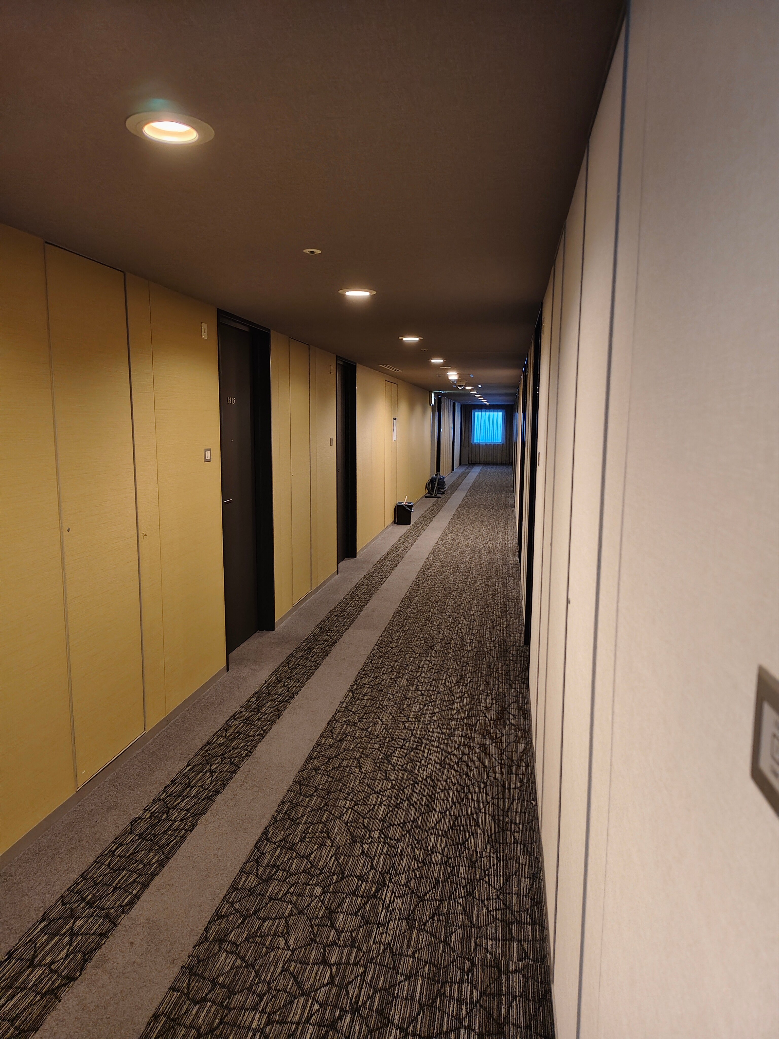 东京大崎大和罗伊内特酒店-官方