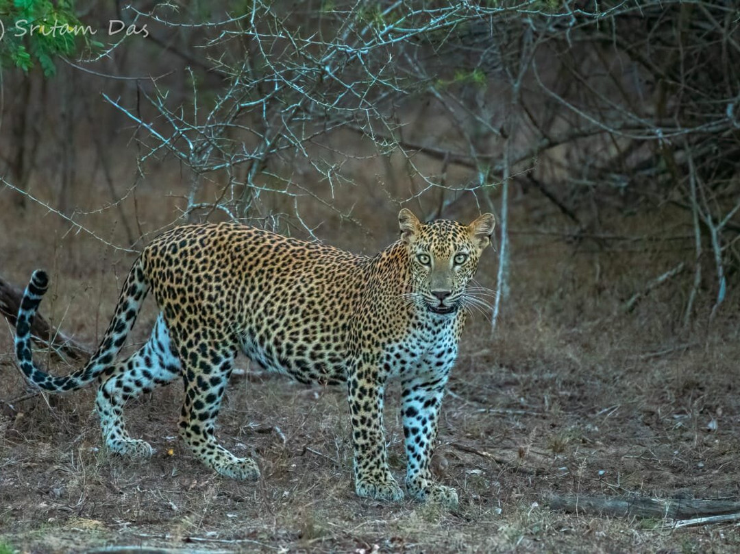 Menaka Safari-蒂瑟默哈拉默必去景点