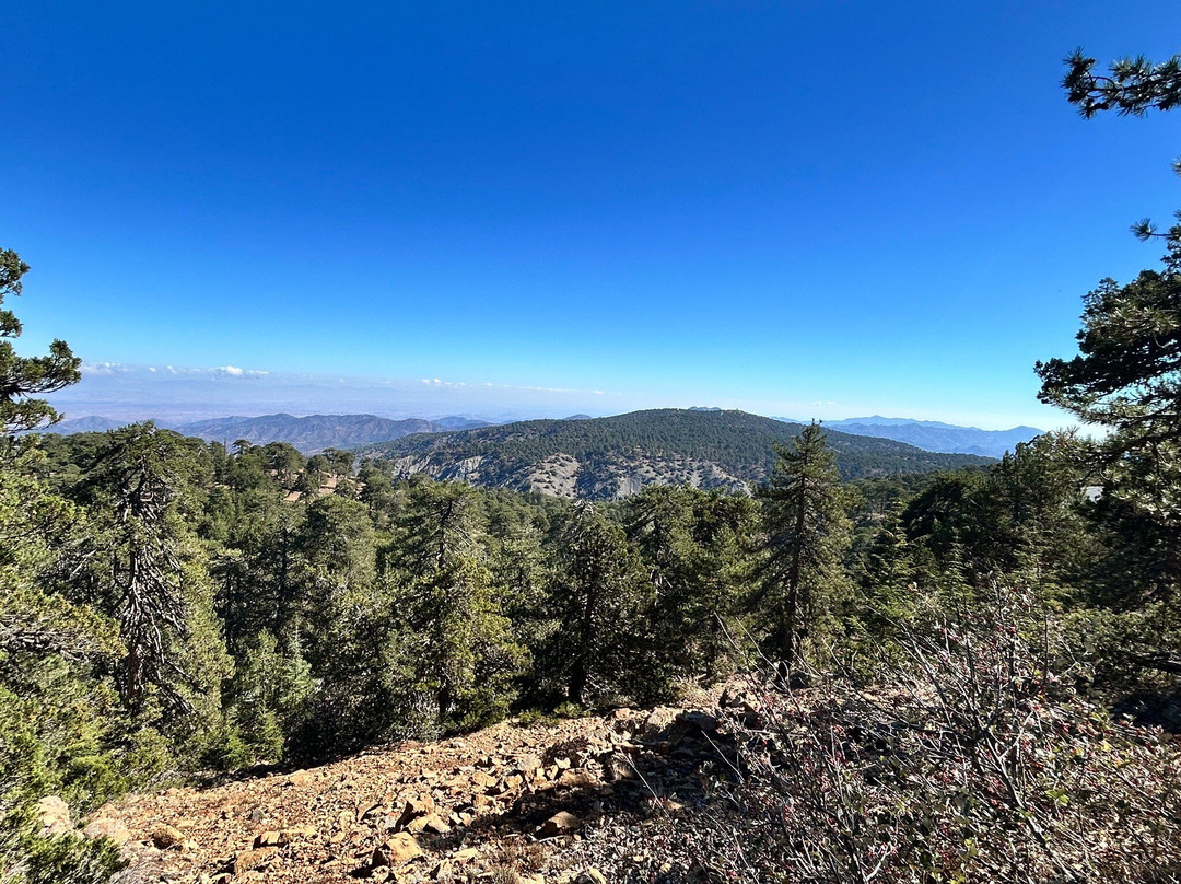 Artemis Nature Trail-特罗多斯必去景点