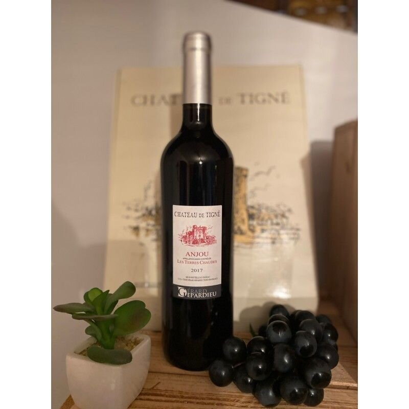 Château de Tigné Vins Gérard Depardieu-Tigne必去景点