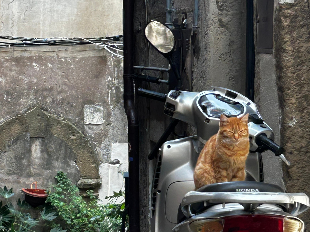 Borgo Medievale-San Gregorio da Sassola必去景点
