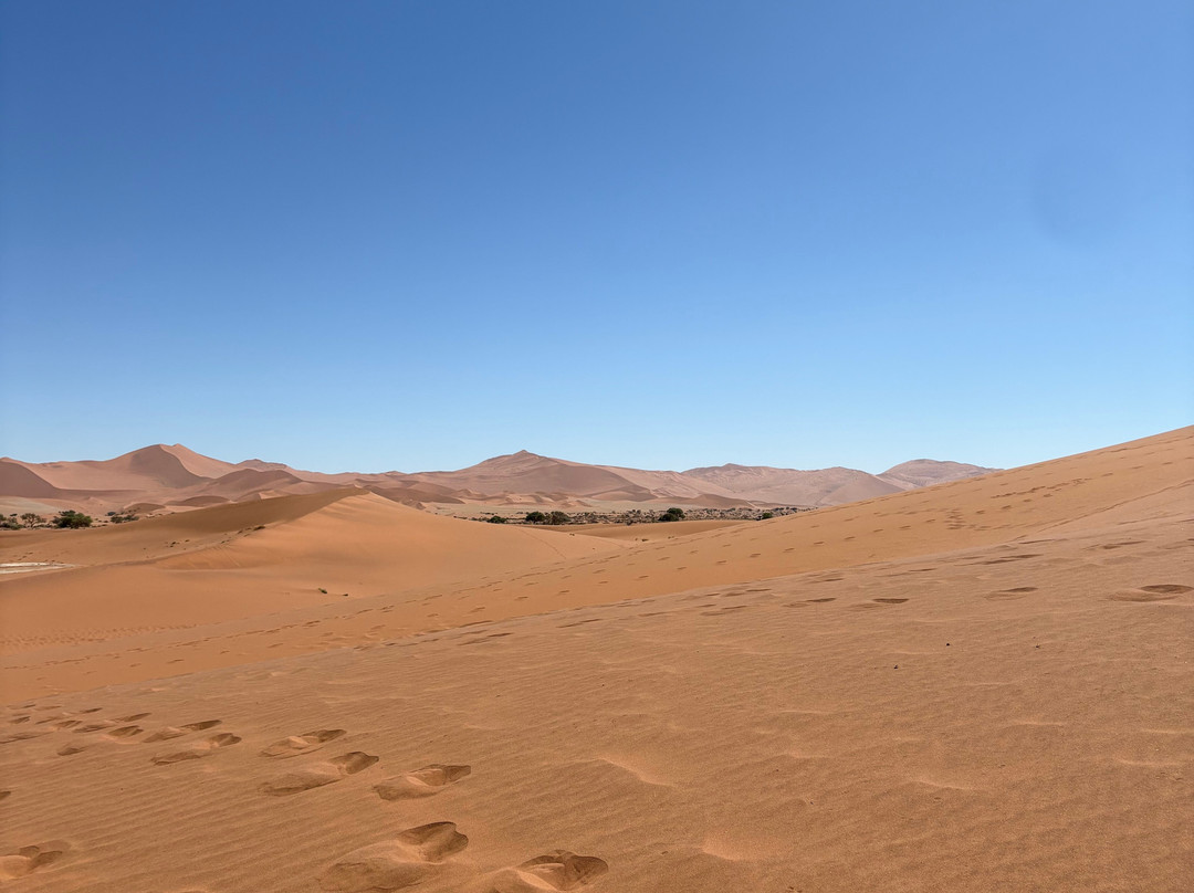 Chameleon Safaris-温德和克必去景点