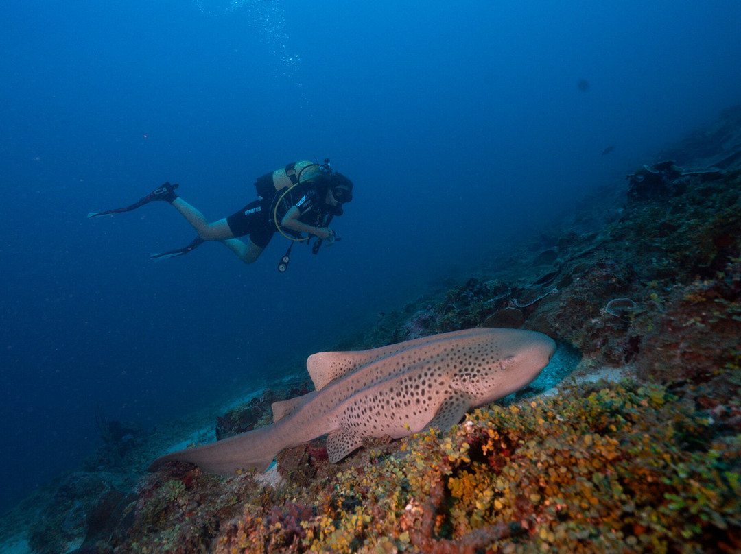 Océane's Dream-Ambatoloaka必去景点