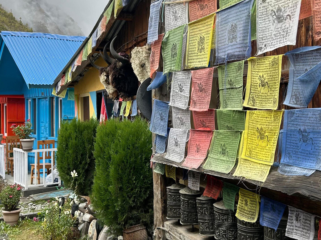 Nepal view treks and expedition pbt.ltd-纳加阔特必去景点