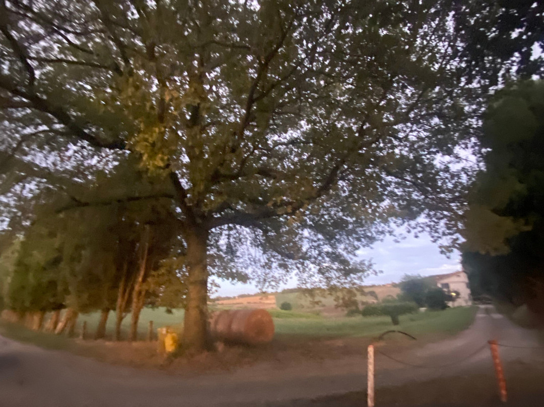 Via delle Querce-Savignano sul Panaro必去景点