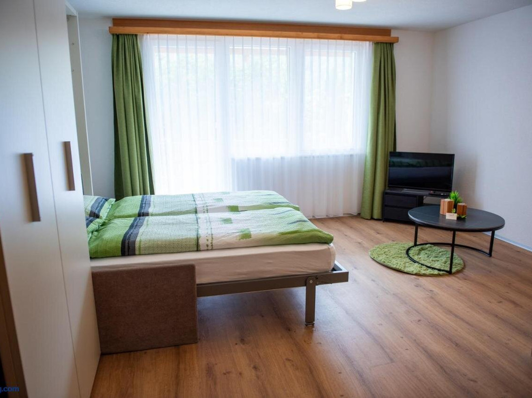 Saas-Grund酒店住宿-Hotel Moulin