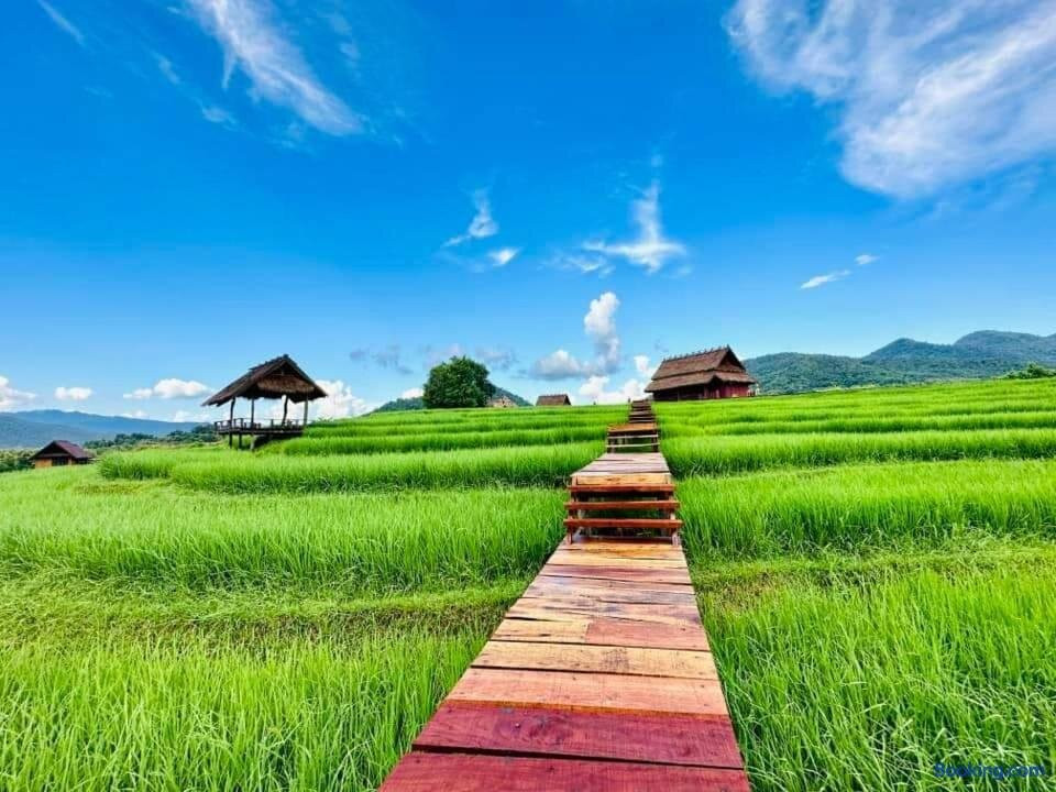 Ekhoaahnnywfaamsaeh-kao Niaw Farmstay