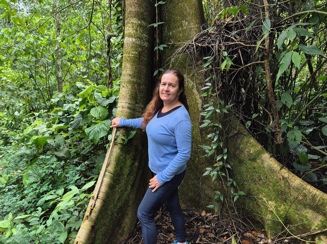 Cachoeira do Veloso-伊利亚贝拉必去景点