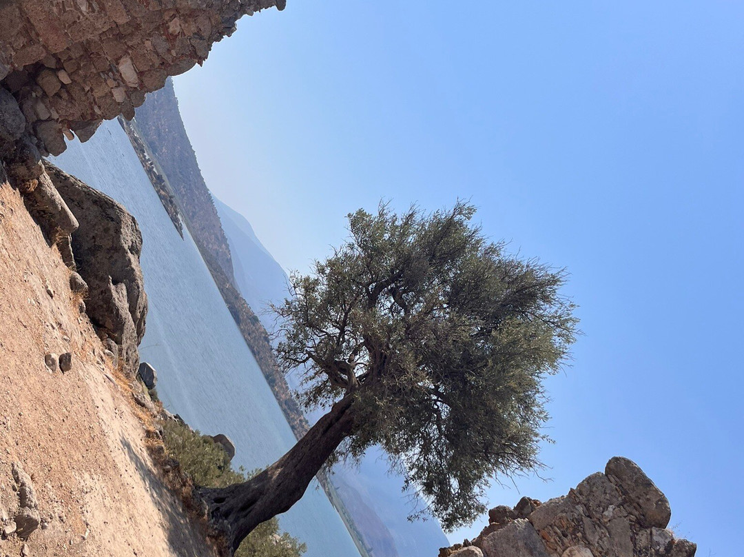 Lake Bafa Nature Park-Milas必去景点
