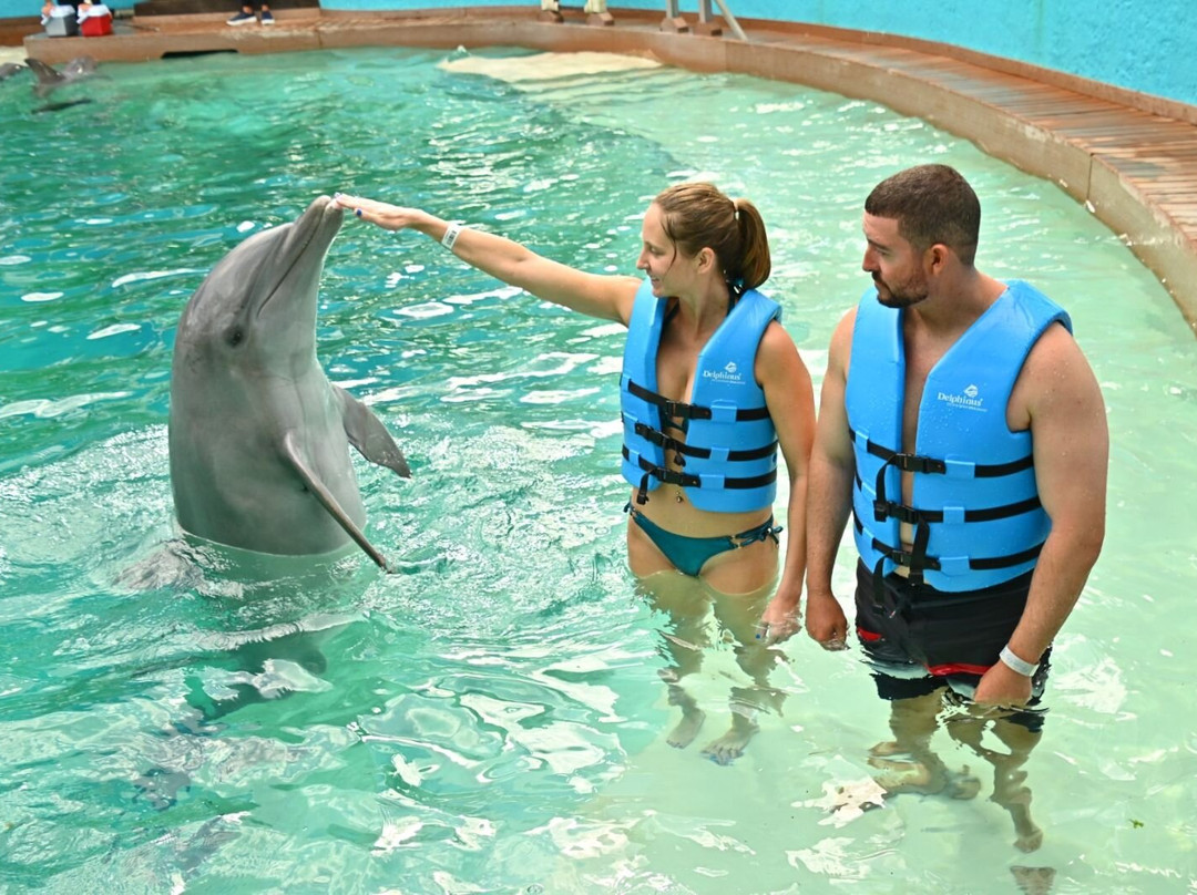互动式水族馆-坎昆必去景点