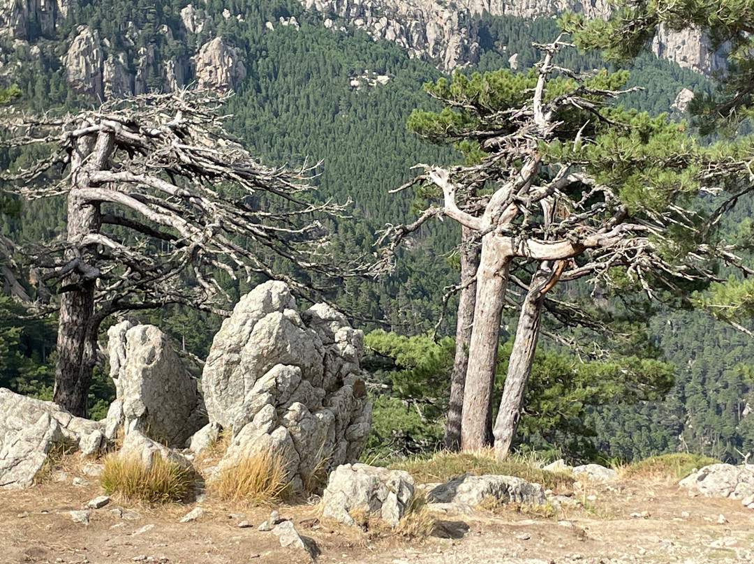 Aiguilles de Bavella-Quenza必去景点