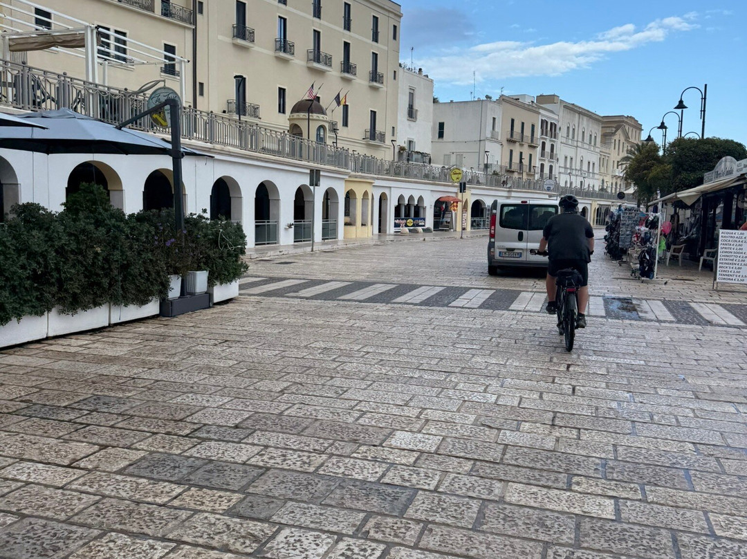 Logistica Aventura-巴西利亚必去景点