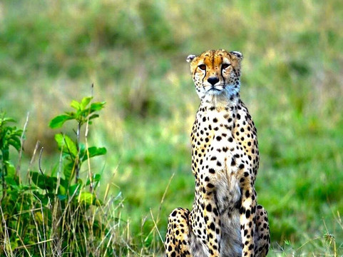 Mwanamshiki Tours and Safaris-阿鲁沙必去景点