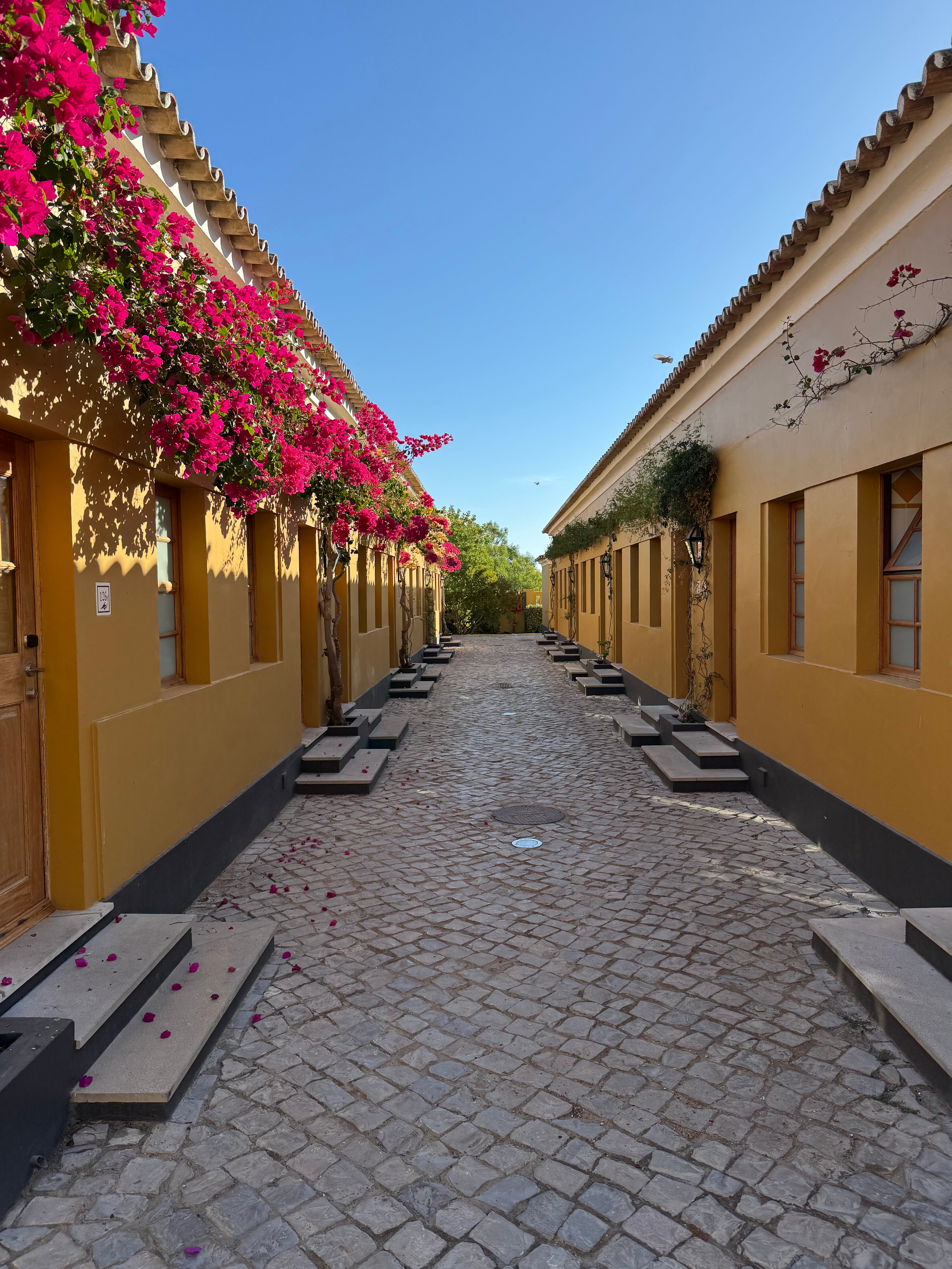 Vila Galé Albacora-官方