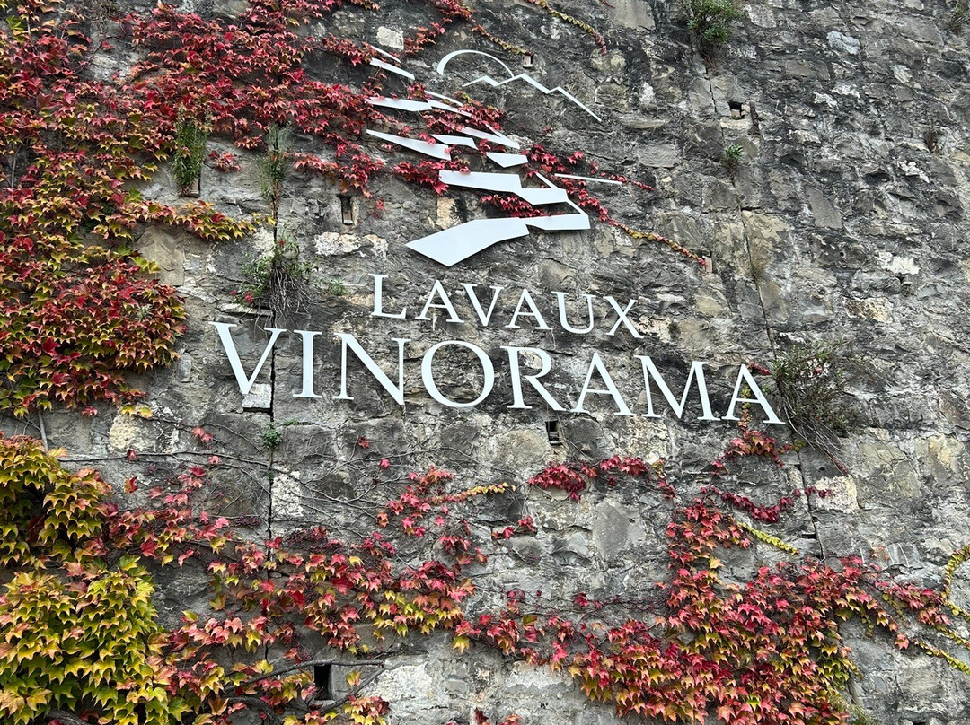 Lavaux Vinorama-Rivaz必去景点
