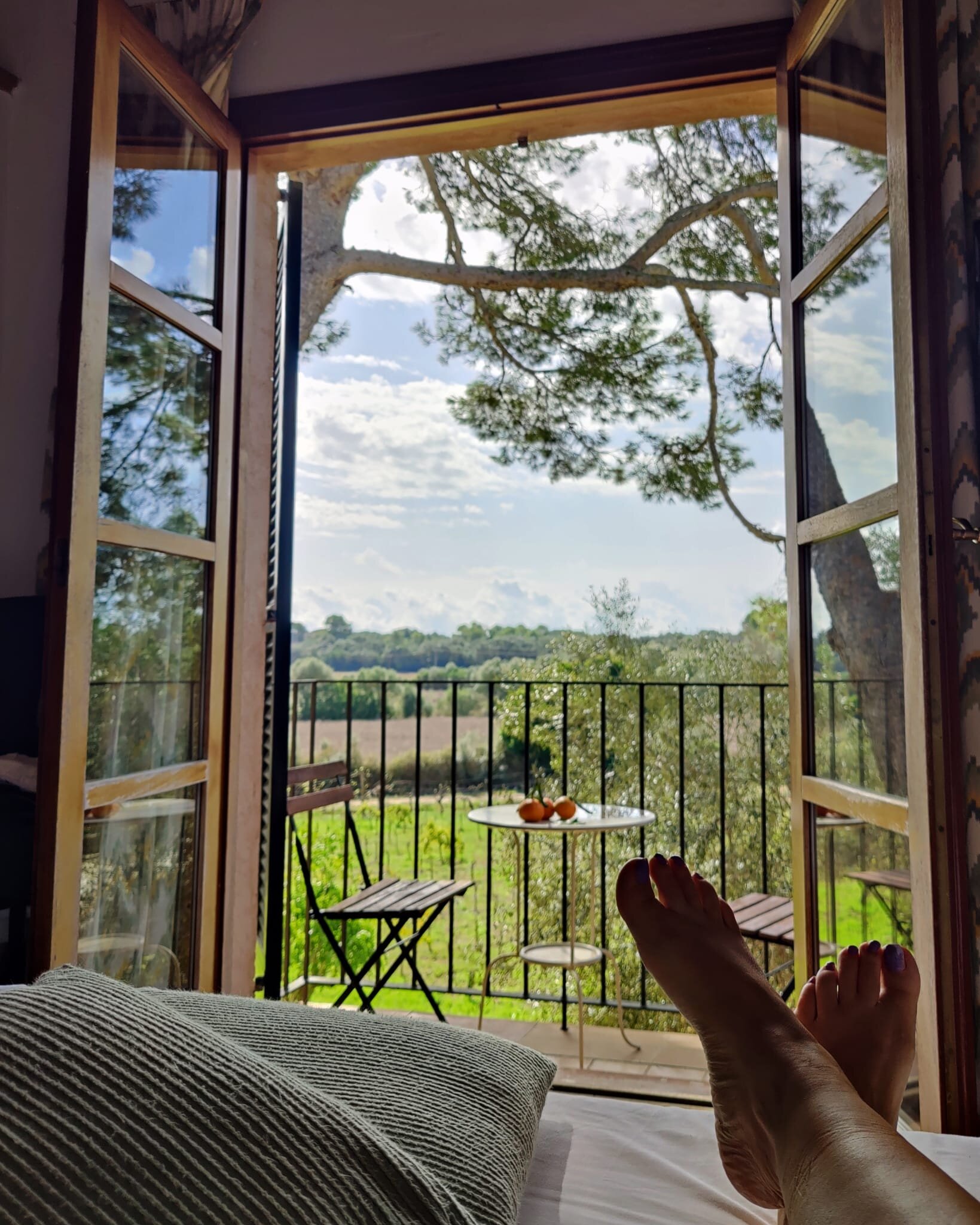 Son Menut Finca-酒店景观