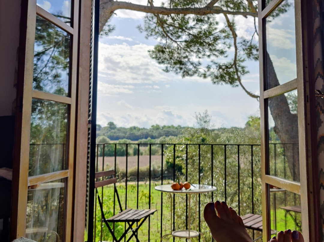 Son Menut Finca主图