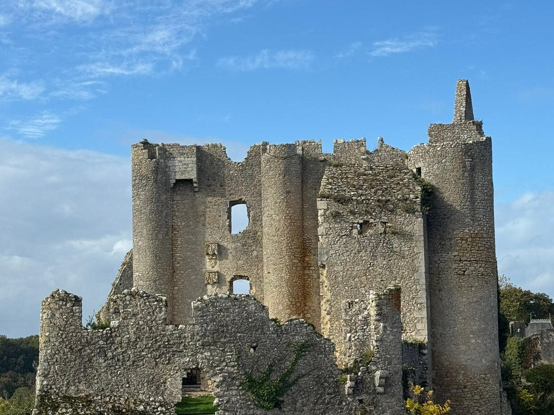 Château d'Angles-sur-l'Anglin-Angles sur l'Anglin必去景点